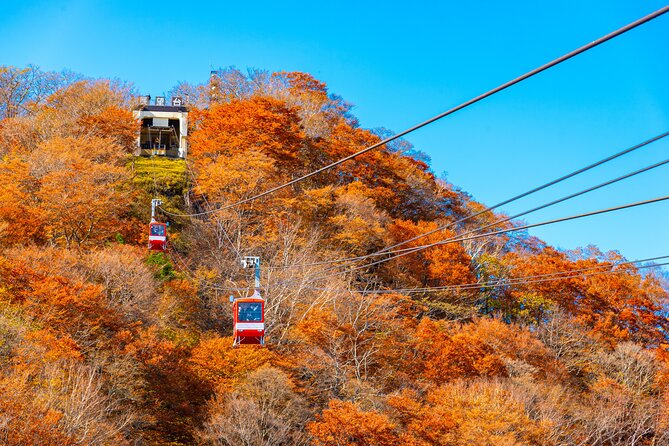 Explore the Culture and History of Nikko with this Private Tour - Lake Chuzenji at 1,269 meters
