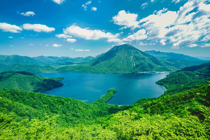Explore the Culture and History of Nikko with this Private Tour - What the private vehicle adds