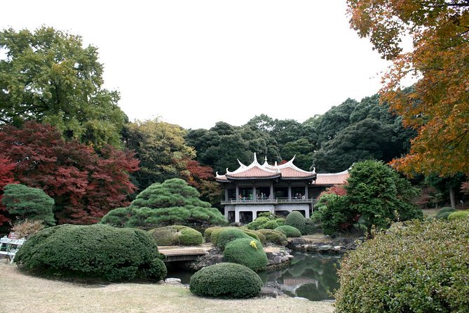 Free Choice of Itineraries Tokyo Private Tour - A flexible way to see Tokyo in one day