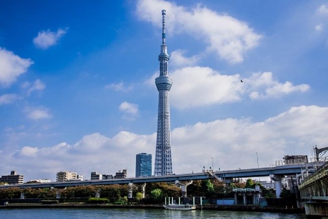 Freely set up plans Guided Private Tours in Tokyo - Shibuya Crossing and Meiji Jingu