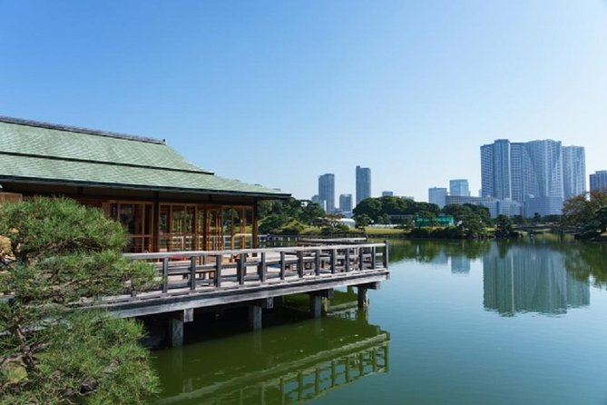Freely set up plans Guided Private Tours in Tokyo - Tokyo Tower and Shinjuku Gyoen