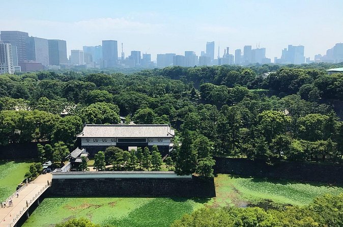 From the Imperial Palace to Odaiba : Time travel to Tokyo - Is $91.21 a fair price?