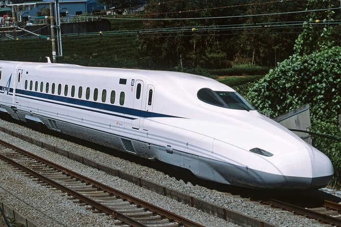 From Tokyo 1-Day Kyoto English-guided Tour by Bullet Train - Kiyomizu-dera and Kyoto from the hillside