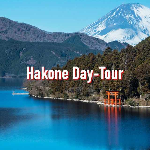 From Tokyo: 10-hour Hakone Private Custom Tour - Owakudani for a change of scenery