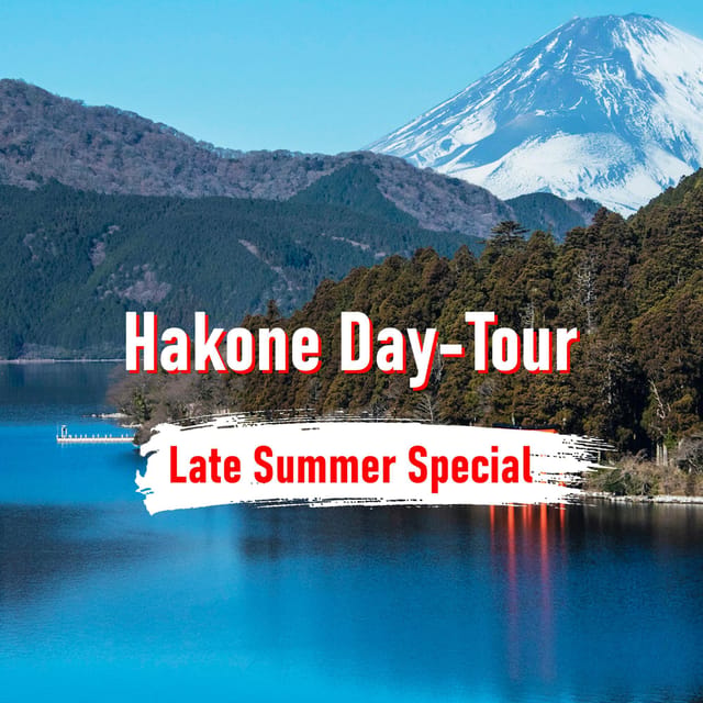 From Tokyo: 10-hour Hakone Private Custom Tour - Starting in Tokyo: the ten-hour clock