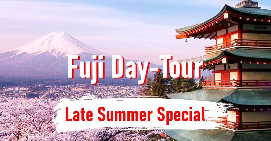 From Tokyo: 10-hour Mount Fuji Private Customizable Tour - Planning your Mount Fuji route