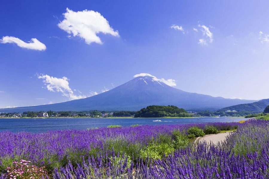 From Tokyo: Fuji Mountain Area - FujiQ - Lake Kawaguchiko - Chureito Pagoda - Oshino Hakkai brings water, springs, and village life