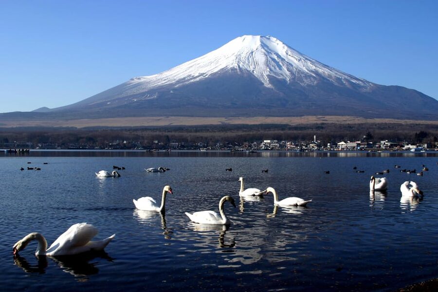 From Tokyo: Fuji Mountain Area - FujiQ - Lake Kawaguchiko - Chureito Pagoda - Fujiyoshida connects the stops