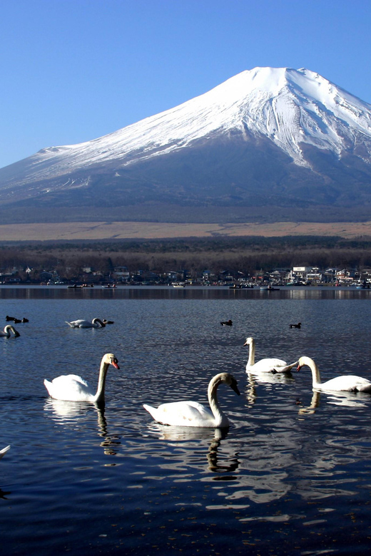 From Tokyo: Fuji Mountain Area - FujiQ - Lake Kawaguchiko - Chureito Pagoda - The Alphard makes the long road easier