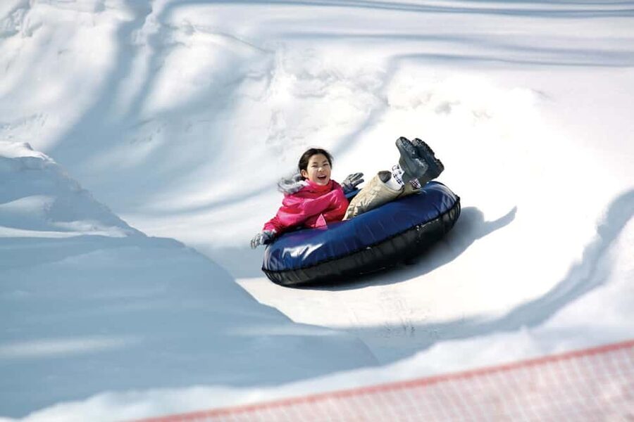 From Tokyo: Fujiyama Snow Resort Yeti Winter Ski Day Tour - Who will get the best value