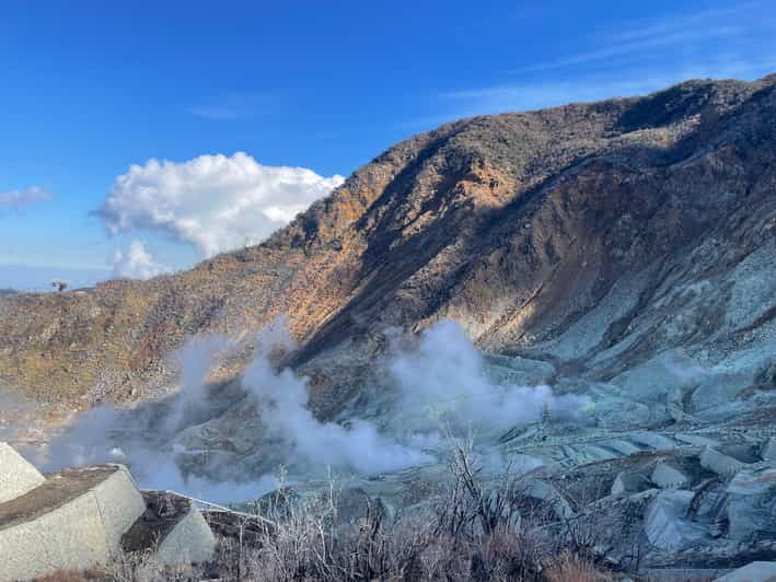 From Tokyo: Hakone Full Day Customizable Private Tour - Why a private car makes Hakone easier