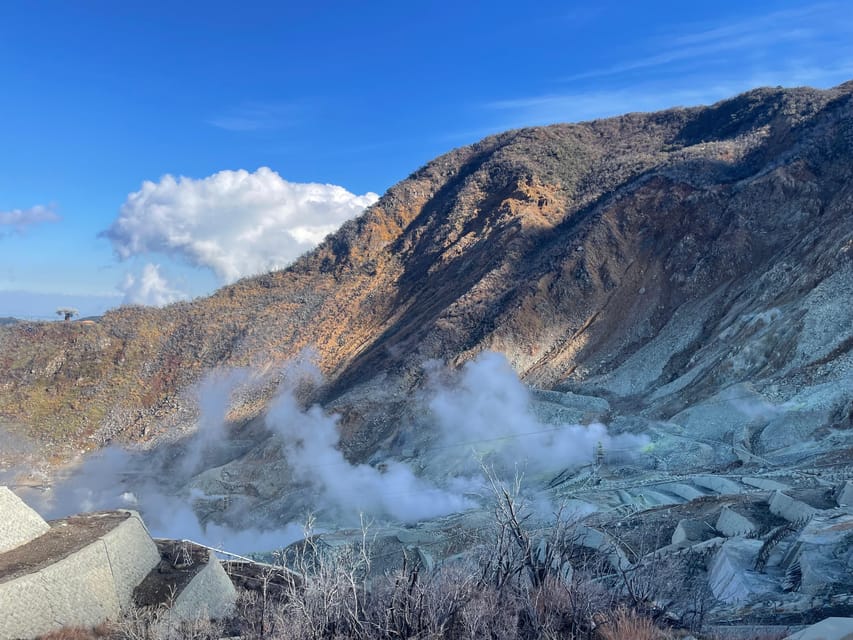 From Tokyo: Hakone Full Day Customizable Private Tour - Onsen time, with one important planning note