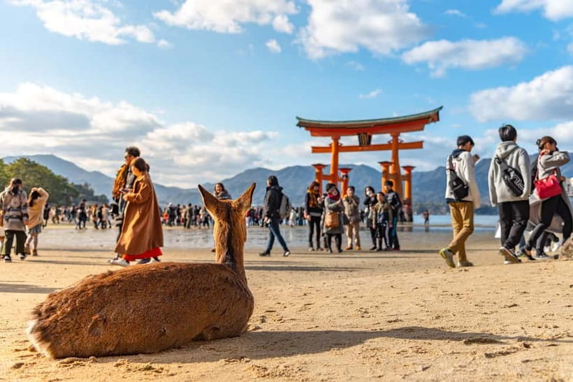 From Tokyo: Hiroshima and Miyajima Day Trip by Bullet Train - Key points to know before booking