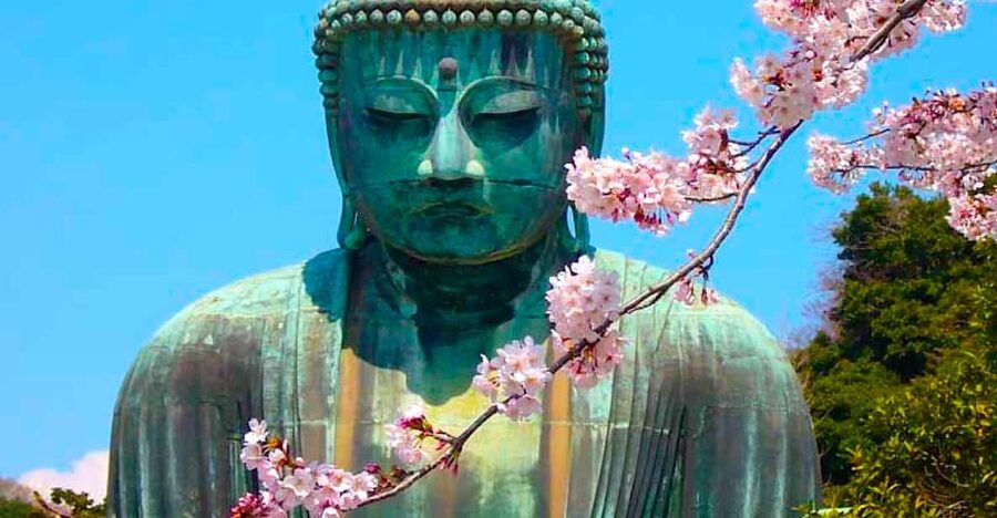 From Tokyo: Kamakura and Enoshima Full-Day Private Trip - The Great Buddha at Kotoku-in