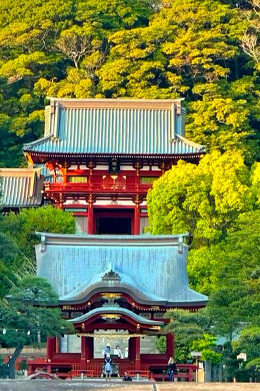 From Tokyo: Kamakura and Enoshima Full-Day Private Trip - Hase-dera’s gardens and coastal outlooks