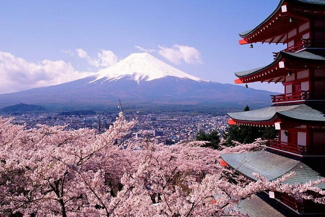 From Tokyo Kamakura, Hachimangu Shrine and Enoshima Full Day Tour - Finding lunch on your own