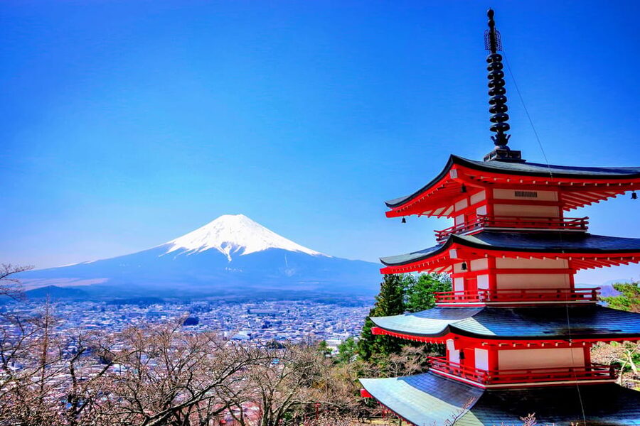 From Tokyo: Mount Fuji and Hakone Private Day Trip - Ropeway or cable car above Hakone