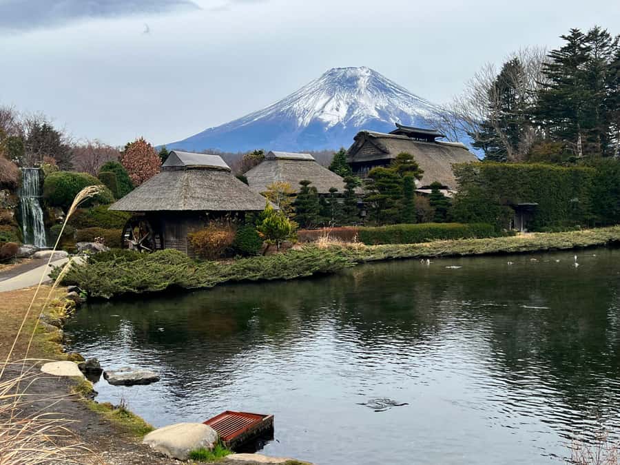 From Tokyo: Mount Fuji and Hakone Private Day Trip - A flexible day around Japan’s most famous mountain