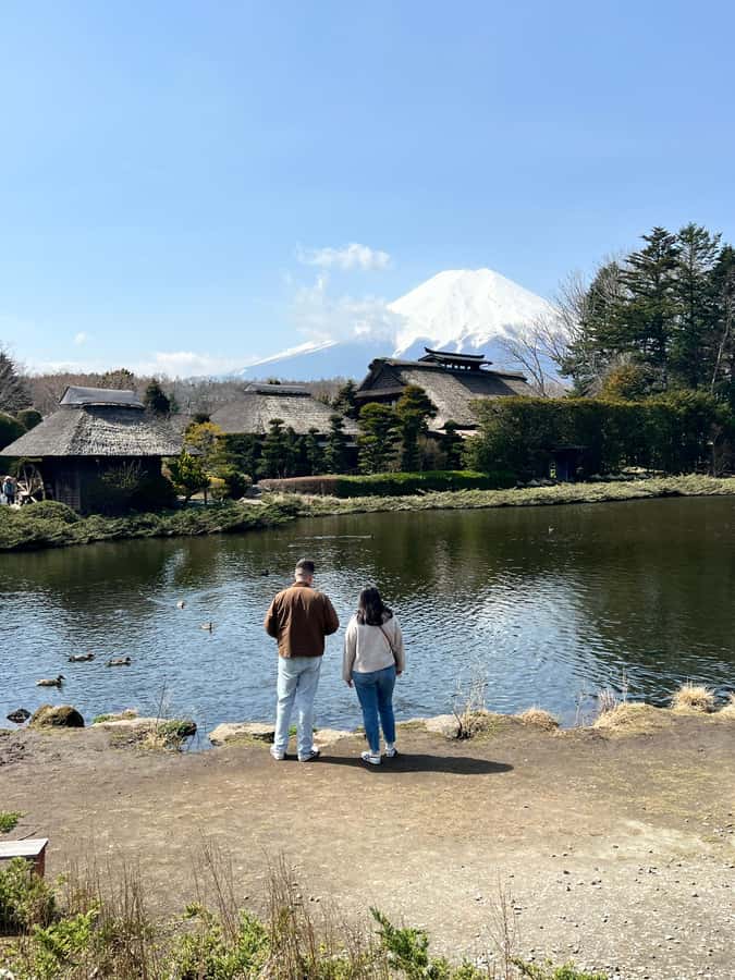 From Tokyo: Mount Fuji and Hakone Private Day Trip - Shrines beneath ancient cedar trees