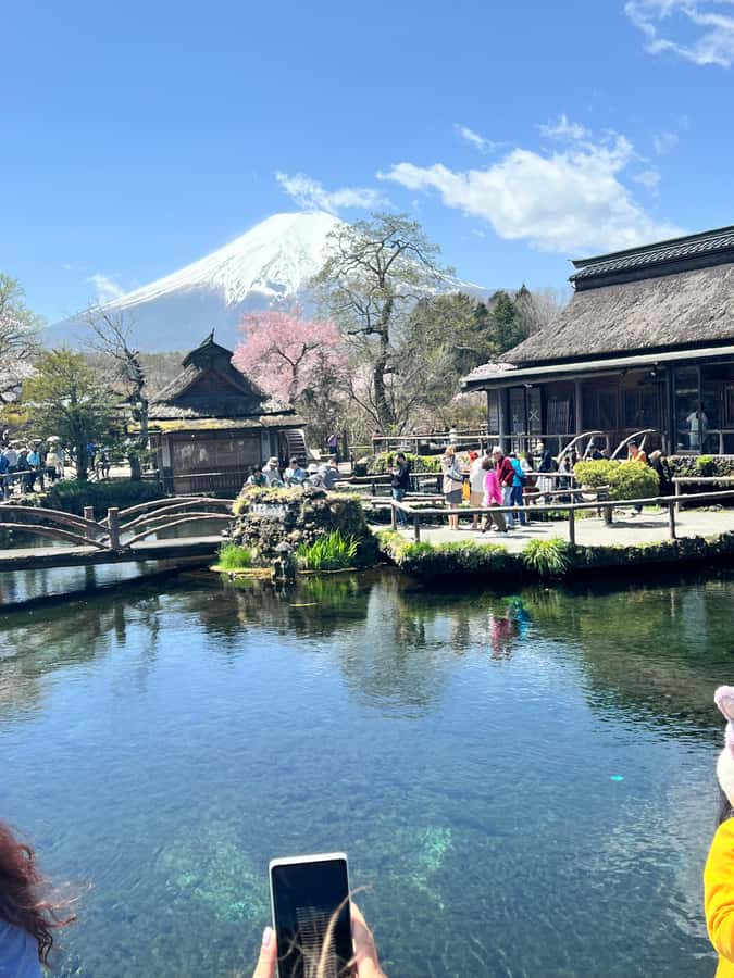 From Tokyo: Mount Fuji and Hakone Private Day Trip - Oshino Hakkai and the springs from Mount Fuji