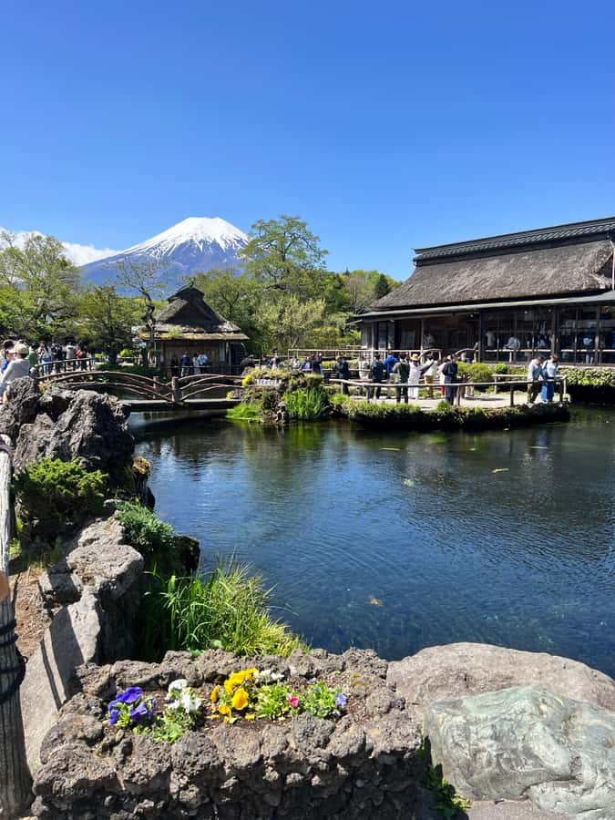 From Tokyo: Mount Fuji and Hakone Private Day Trip - Hakone’s volcanic side at Owakudani