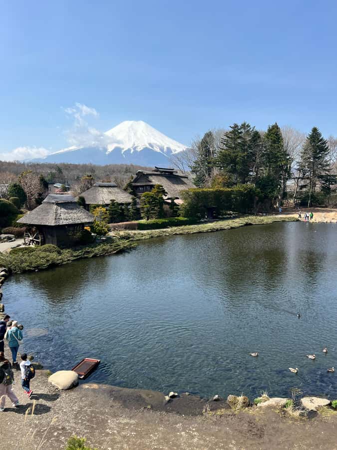 From Tokyo: Mount Fuji and Hakone Private Day Trip - Lake Ashi by pirate ship