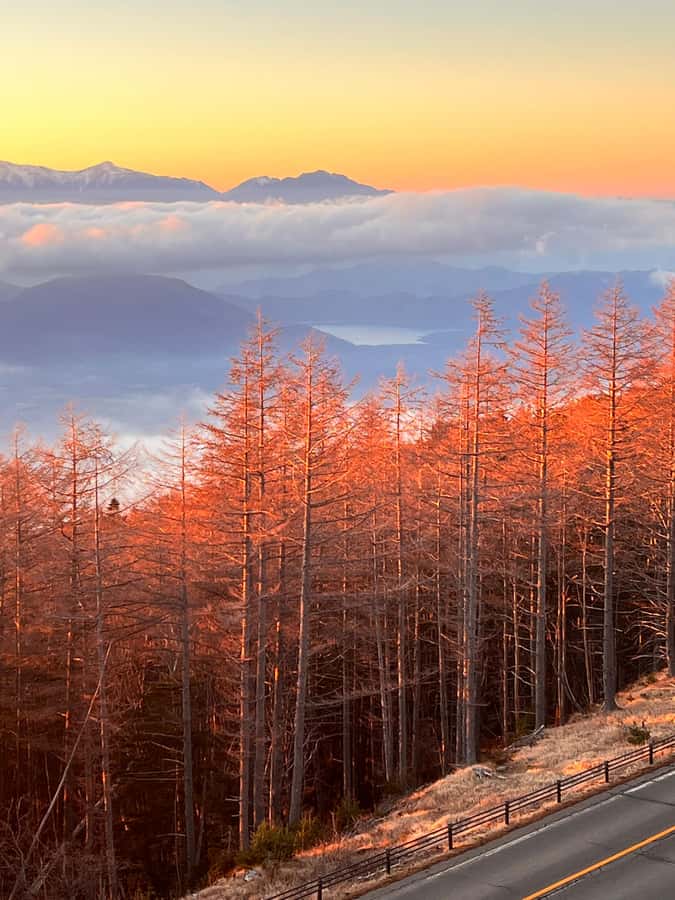 From Tokyo: Mount Fuji and Hakone Private Day Trip - Fuji’s 5th Station, high above the lakes