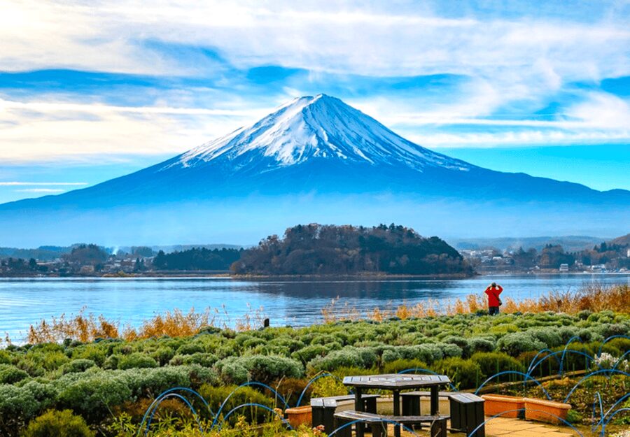 From Tokyo: Mount Fuji Full Day Customizable Private Tour - Mount Fuji 5th Station and the Limits of Altitude
