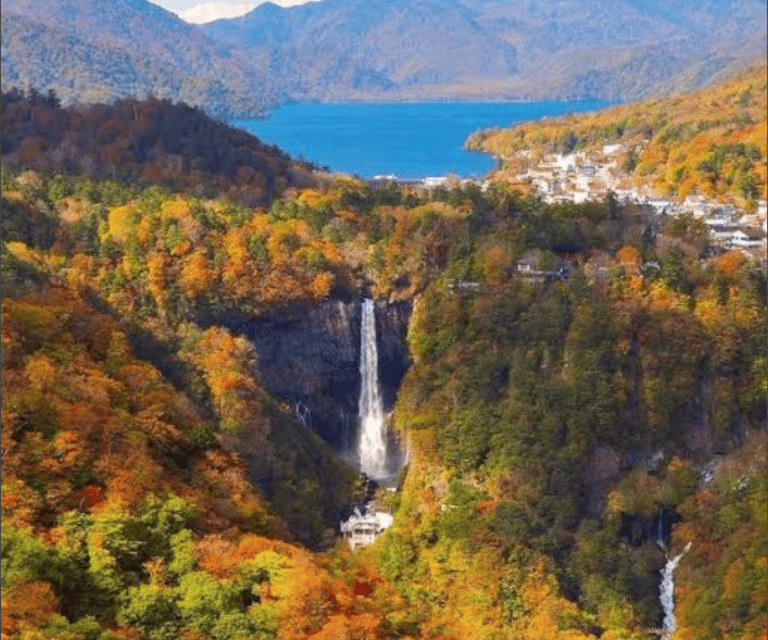 From Tokyo: Mount Fuji Full Day Customizable Private Tour - Oshino Hakkai’s Eight Clear Springs