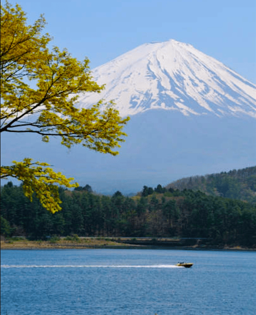 From Tokyo: Mount Fuji Full Day Customizable Private Tour - Kitaguchi Hongu Fuji Sengen Shrine
