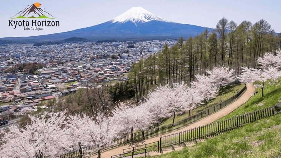 From Tokyo: Mount Fuji Full Day Customizable Private Tour - Gotemba Shopping and Optional Family Stops