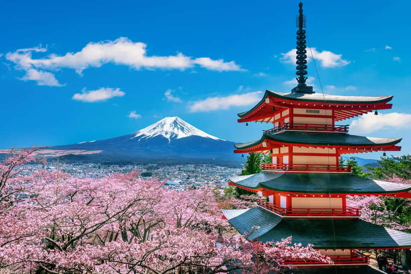 From Tokyo: Mount Fuji Full Day Private Customizable Tour - Key points at a glance