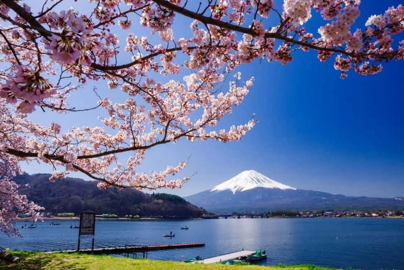 From Tokyo: Mount Fuji Full Day Private Customizable Tour - Why this private Fuji trip works well