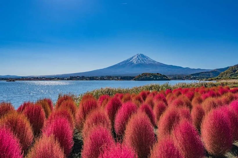 From Tokyo: Mount Fuji Full Day Private Customizable Tour - The early start is worth the alarm