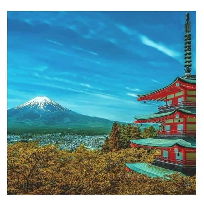 From Tokyo: Mount Fuji Full-Day Private Tour (Customizable) - Key points to know before booking