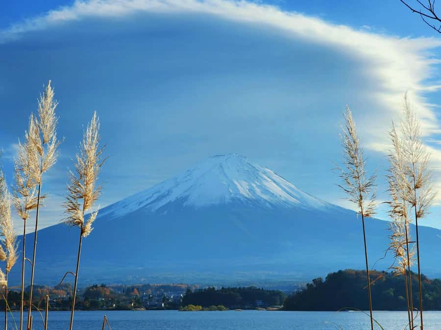 From Tokyo: Mount Fuji Full-Day Private Tour (Customizable) - Which guide experience should you expect?
