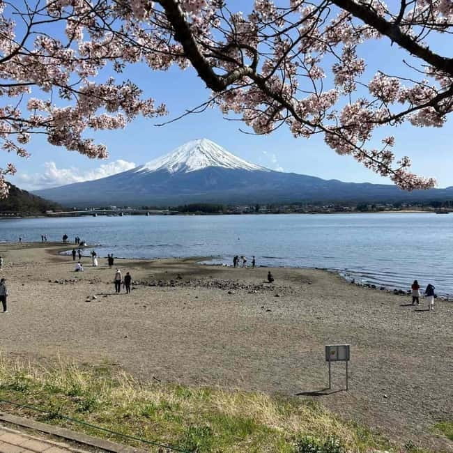 From Tokyo: Mount Fuji Full-Day Private Tour (Customizable) - Why a private Mount Fuji day works well from Tokyo