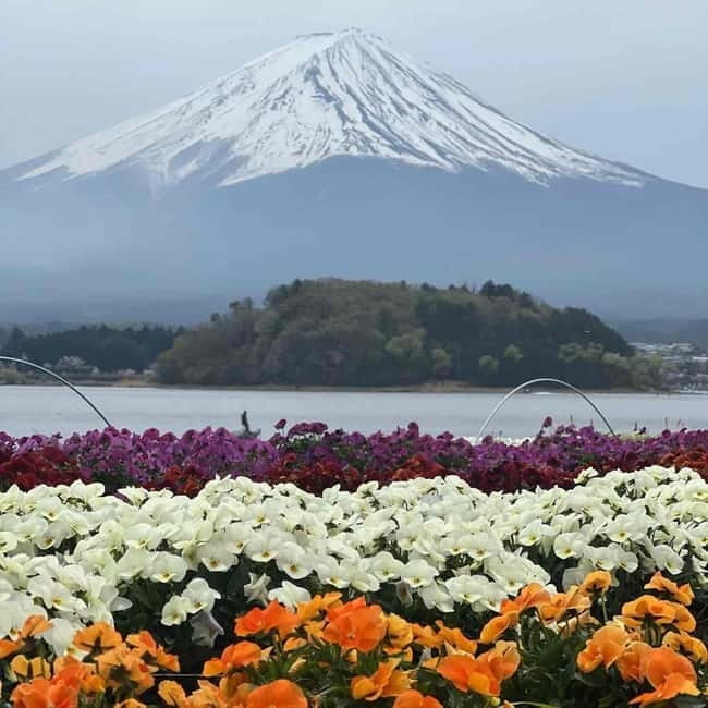 From Tokyo: Mount Fuji Full-Day Private Tour (Customizable) - Oshino Hakkai for springs, snacks, and village scenery