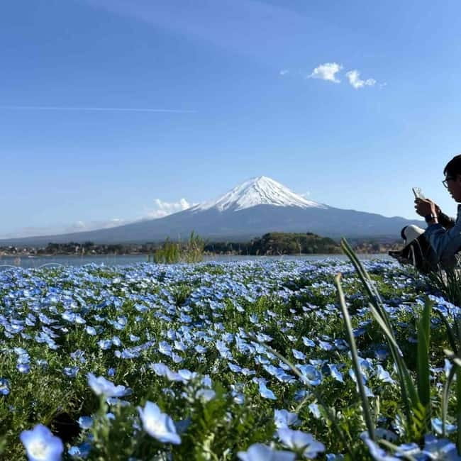 From Tokyo: Mount Fuji Full-Day Private Tour (Customizable) - Custom plans for Hakone, photography, and families