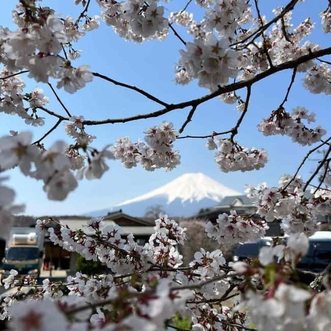 From Tokyo: Mount Fuji Full-Day Private Tour (Customizable) - What the $390 group price really buys