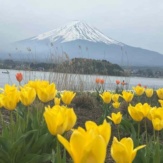 From Tokyo: Mount Fuji Full-Day Private Tour (Customizable) - Comfort, timing, and the practical drawbacks