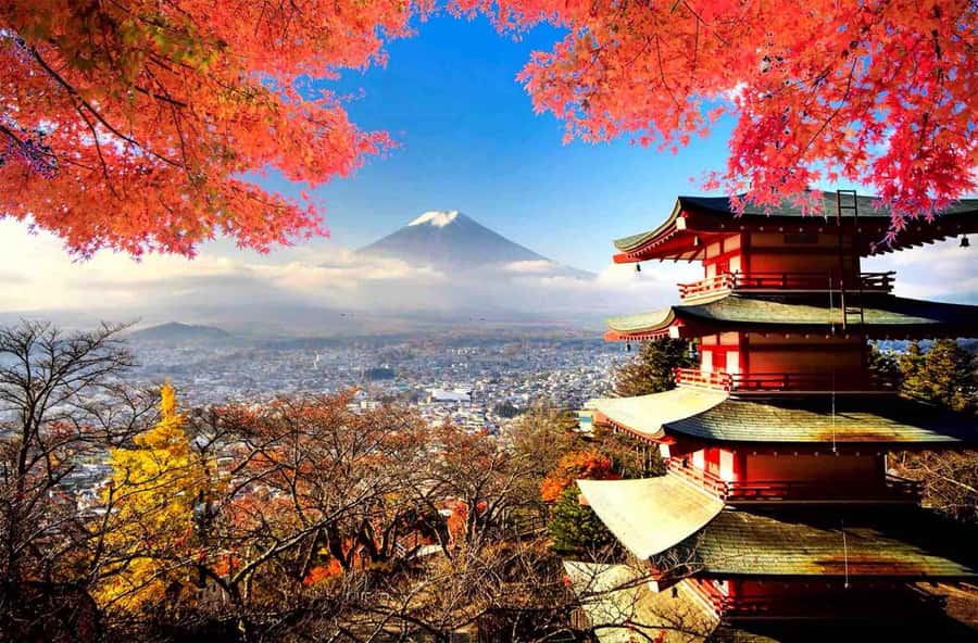 From Tokyo: Mount Fuji Full Day Private Tour English Guide - Why the private format matters on a Fuji day