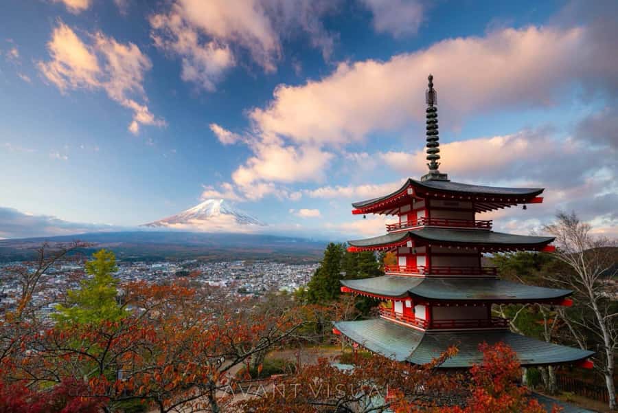 From Tokyo: Mount Fuji Full Day Private Tour English Guide - Fuji 5th Station at 2,300 meters