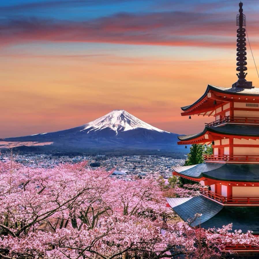From Tokyo: Mount Fuji Full Day Private Tour English Guide - Oshino Hakkai, ponds and old-style village scenery
