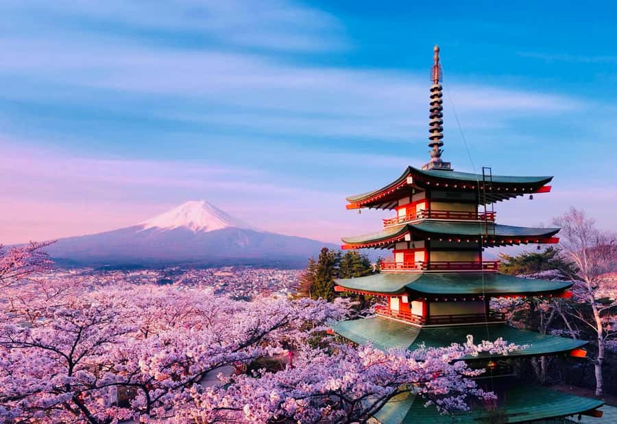 From Tokyo: Mount Fuji Full Day Private Tour English Guide - Lake Kawaguchi, Oishi Park, and the changing view