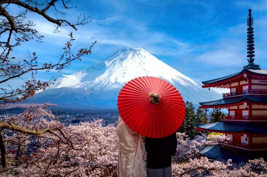 From Tokyo: Mount Fuji Full Day Private Tour English Guide - Who will get the most from this tour?