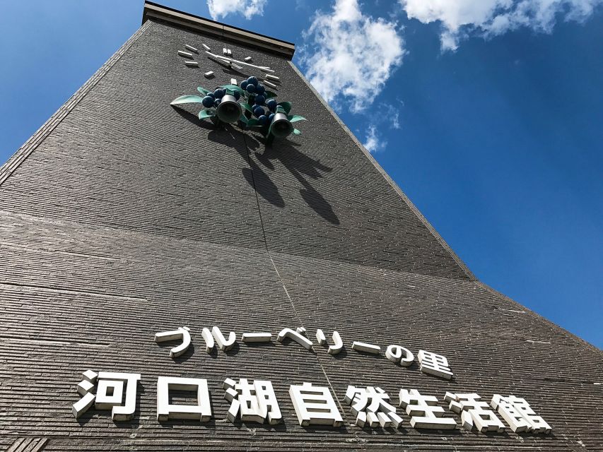 From Tokyo: Mount Fuji Full-Day Sightseeing Trip - Who should book this Fuji day trip?