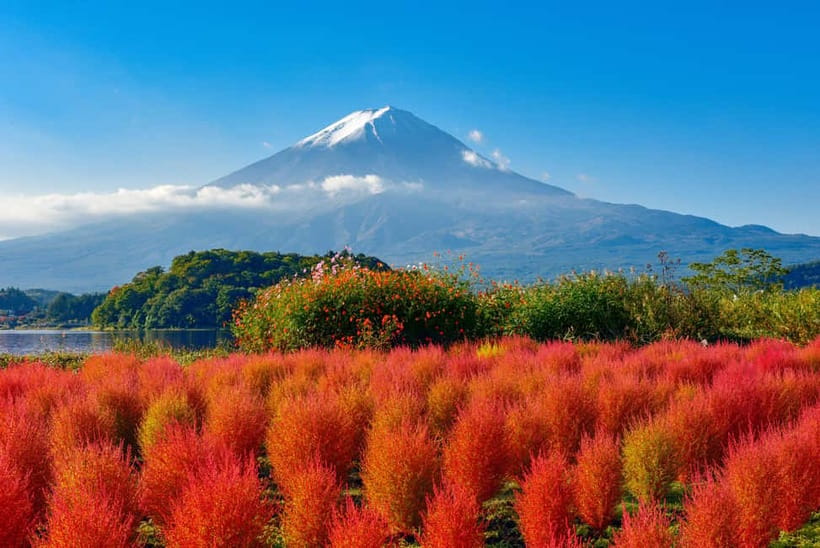 From Tokyo: Mount Fuji Full-Day Sightseeing Trip - Why this route works for a first Fuji visit
