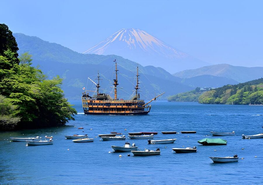 From Tokyo: Mount Fuji & Hakone Full Day Private Tour - Saiko Iyashi-no-Sato Nenba and old Japan