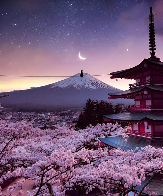 From Tokyo: Mount Fuji & Hakone Full Day Private Tour - Narusawa Ice Cave and the lava country